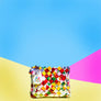 Limited Edition - Silver Coin & Card Holder - Mother Erth